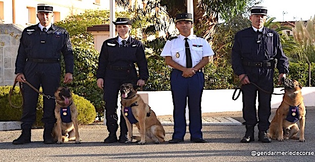 Ajaccio : La médaille de la Défense nationale à trois chiens de la gendarmerie admis à la retraite
