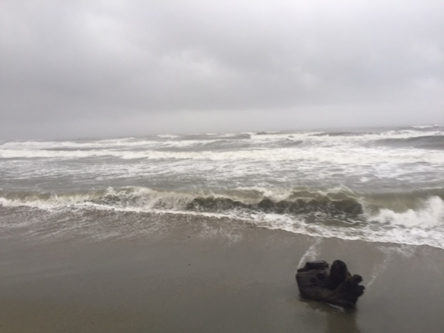 Agosta-Plage : Un homme se noie, sa femme et ses deux enfants en observation Agosta-Plage : Un homme se noie, sa femme et ses deux enfants en observation