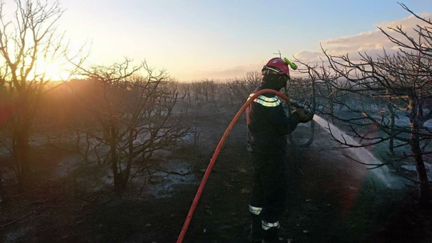 (Crédit photo © S.D.I.S 2A) (Crédit photo © S.D.I.S 2A)