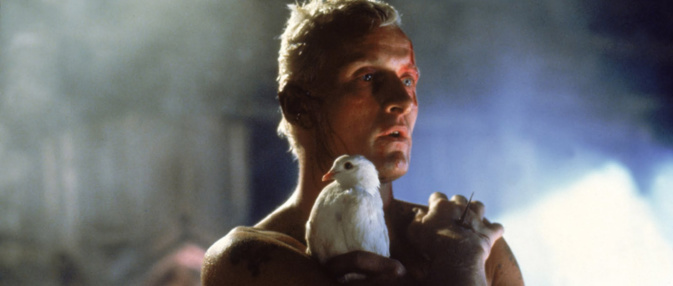 Ciné-club de Bastia : Punchline is back in town Ciné-club de Bastia : Punchline is back in town