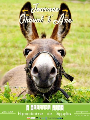 La Journée du cheval et de l'âne à l'hippodrome de Casatorra La Journée du cheval et de l'âne à l'hippodrome de Casatorra