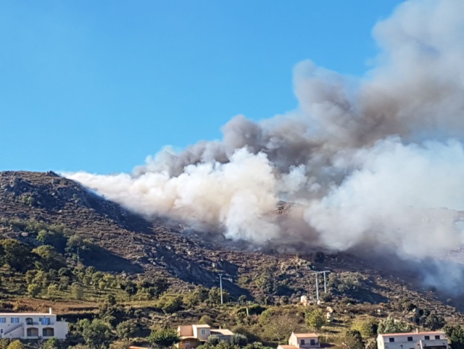 Incendies sur les hauteurs de Speloncato Incendies sur les hauteurs de Speloncato