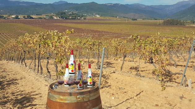 Primu vinu in Tallone : L'esprit frais de l'UVIB…