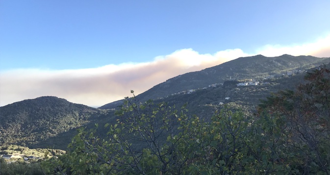 Le panache de fumée de Ville-di-Paraso au-dessus de la région bastiaise Le panache de fumée de Ville-di-Paraso au-dessus de la région bastiaise