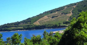 Parc marin - versant Est d'u Capicorsu Parc marin - versant Est d'u Capicorsu