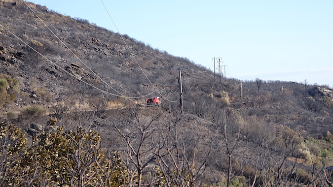 Incendies en Haute-Corse : Le point sur les feux de Santa Maria di Lota - Partine, Brando et Tralonca