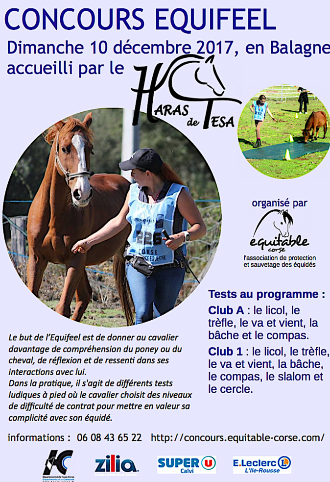Occhiatana : Un concours Equifeel au Haras de Tesa Occhiatana : Un concours Equifeel au Haras de Tesa