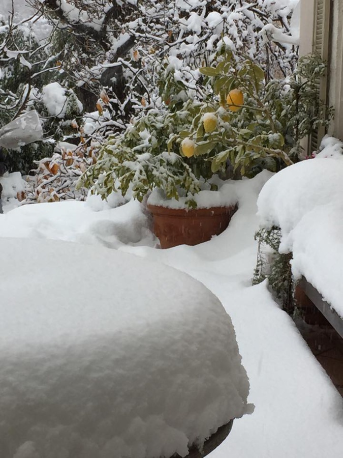 Samedi en Alesani ( Catherine Bouret) Samedi en Alesani ( Catherine Bouret)