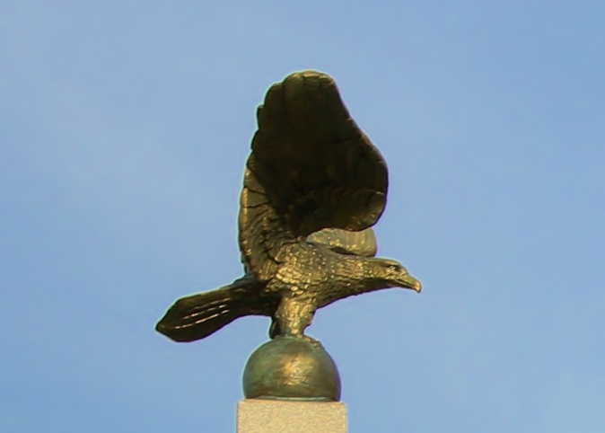 Ajaccio : Retour de l'Aigle Impérial quartier Saint Jean Ajaccio : Retour de l'Aigle Impérial quartier Saint Jean