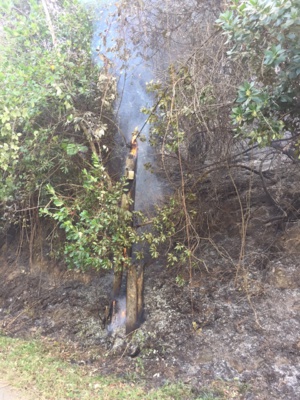 Le brasier autour de la maison du rescapé, toujours fumant ce matin. Le brasier autour de la maison du rescapé, toujours fumant ce matin.