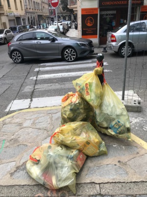 Le Syvadec et Citeo s’engagent à développer le tri des emballages ménagers en Corse Le Syvadec et Citeo s’engagent à développer le tri des emballages ménagers en Corse