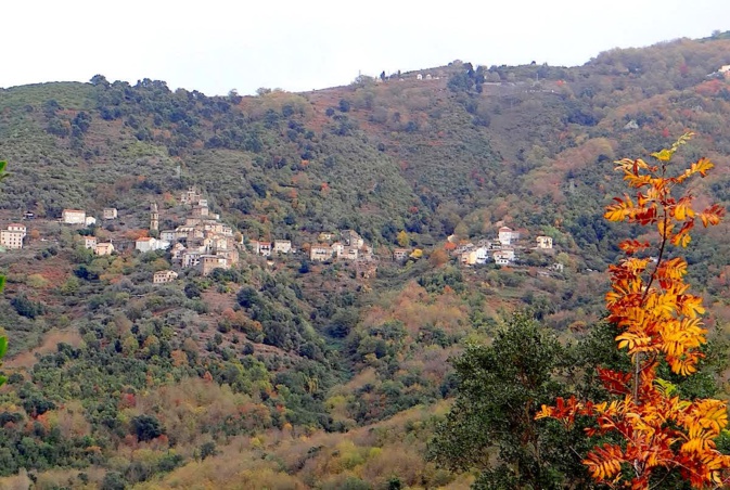 La photo du jour :  I Prunelli di Casàccuni, havre de paix...