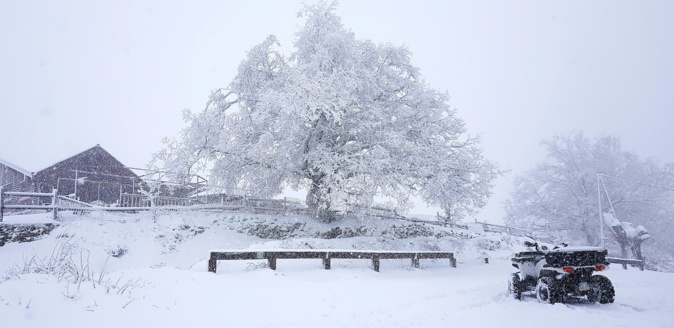 La photo du jour : A Bocca di a Battaglia paré de ses atours hivernaux 