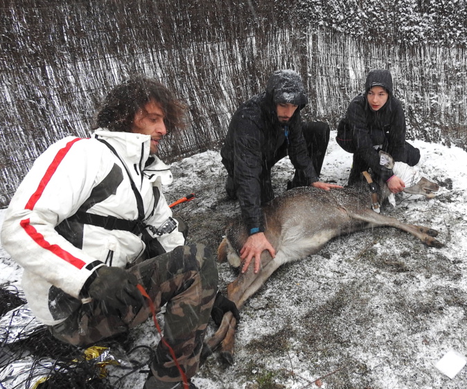 Les agents du PNRC Roch Secchi, Florian Mannoni, Stevan Mondoloni, Mattea Moretti avec la biche Les agents du PNRC Roch Secchi, Florian Mannoni, Stevan Mondoloni, Mattea Moretti avec la biche
