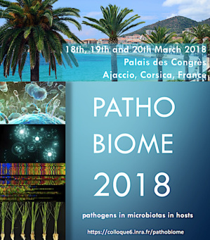 Ajaccio : "Un congrès international se penche sur "Les maladies infectieuses à l'ère des big data" Ajaccio : "Un congrès international se penche sur "Les maladies infectieuses à l'ère des big data"