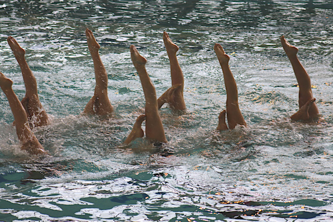 Le Fun Beluga Bastia entre dans la cour des grands Le Fun Beluga Bastia entre dans la cour des grands