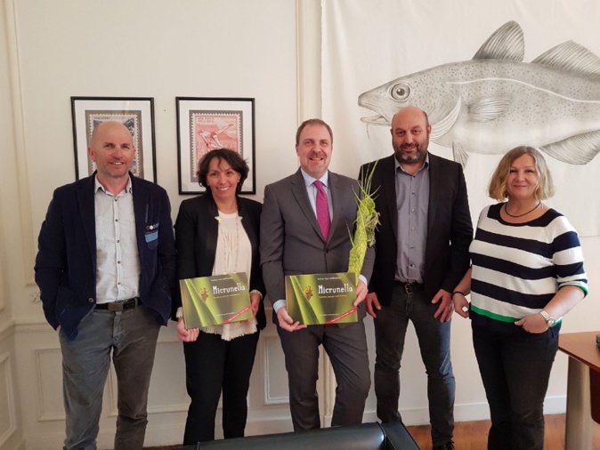 L’Isula – Balagna à la rencontre de l’Islande L’Isula – Balagna à la rencontre de l’Islande