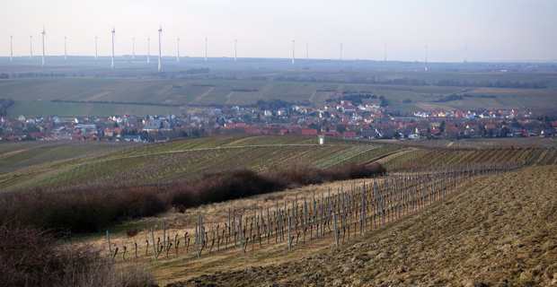 Le village viticole de Bechtolsheim, au coeur de la Rhénanie-Palatinat et aux portes de Mayence.