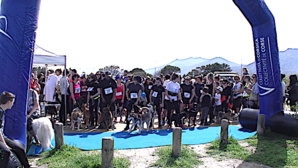 Furiani : Formidable succès du Cani-cross ! Furiani : Formidable succès du Cani-cross !