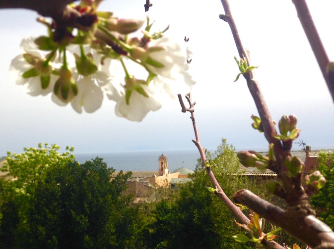 La photo du jour : U chjarasgiu di u Guvernatore