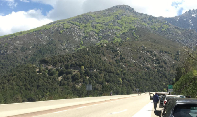 Auto contre motos à proximité de Bocognano : Plusieurs blessés Auto contre motos à proximité de Bocognano : Plusieurs blessés