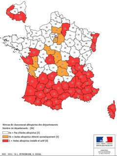Santé : Alerte rouge contre le moustique tigre en Corse et dans 41 autres départements