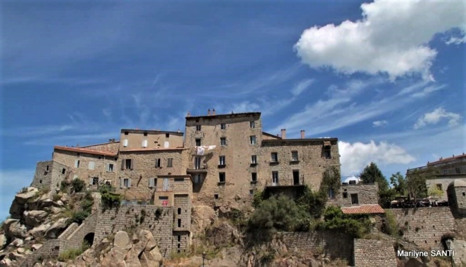 La photo du jour : Sartè, la fière La photo du jour : Sartè, la fière