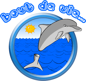 Voile, kayak, paddle, plongée sous-marine … pour les handicapés grâce à « Bout de vie » qui souffle ses 15 bougies…