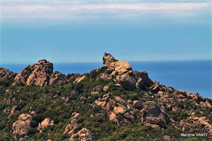 La photo du jour jour : U liò di Roccapina…