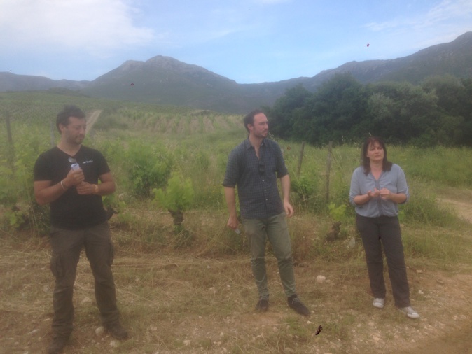 A Patrimonio, on fête le bio A Patrimonio, on fête le bio