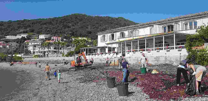 Opération "plage propre" à Miomu Opération "plage propre" à Miomu