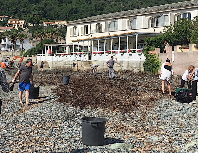 Opération "plage propre" à Miomu Opération "plage propre" à Miomu