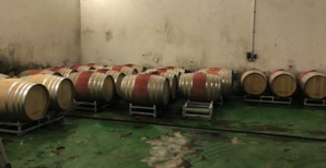 Viticulture : La Cave d'Aleria fête son 60ème anniversaire et voit l'avenir en bulles Viticulture : La Cave d'Aleria fête son 60ème anniversaire et voit l'avenir en bulles