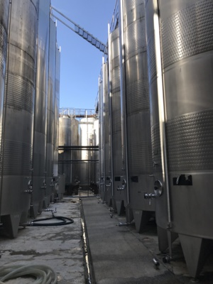 Viticulture : La Cave d'Aleria fête son 60ème anniversaire et voit l'avenir en bulles Viticulture : La Cave d'Aleria fête son 60ème anniversaire et voit l'avenir en bulles