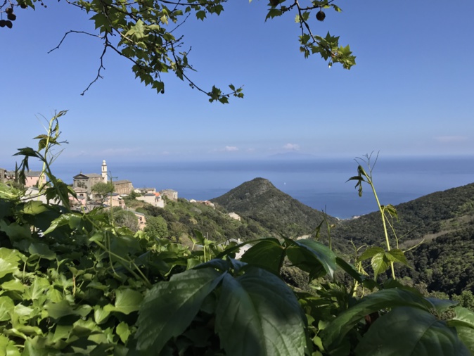 La photo du Jour : San Martinu di Lota, vue imprenable sur la Tyrrhénienne…