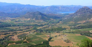 Economie : La Corse veut rayonner à l’international et développer une diplomatie économique Economie : La Corse veut rayonner à l’international et développer une diplomatie économique