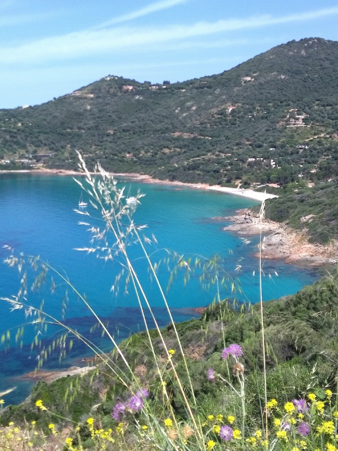 La photo du jour : Du côté de Carghjese… La photo du jour : Du côté de Carghjese…