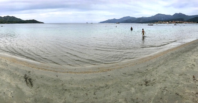 La photo du jour : Bain matinal dans le golfe de Saint-Florent