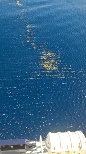 Une nappe de paraffine de 2 km sur 1 décelée au large de la Côte Orientale Une nappe de paraffine de 2 km sur 1 décelée au large de la Côte Orientale