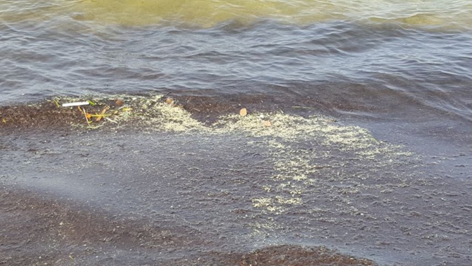 Pollution à la paraffine : Jusqu'à Santa Ghjulia ! Pollution à la paraffine : Jusqu'à Santa Ghjulia !