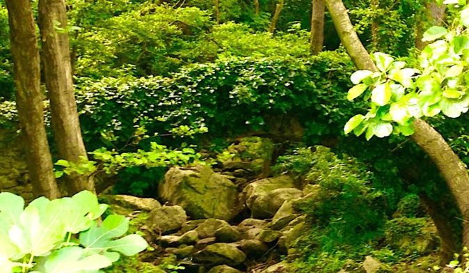 La photo du jour : Dans la fraicheur bastiaise de Petra Rossa