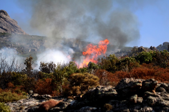 (Archives CNI) (Archives CNI)