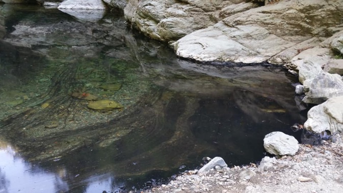 (Photos Faebook Didier Cuenca) (Photos Faebook Didier Cuenca)