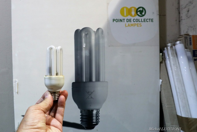 Collecte et recyclage des lampes à économie d'énergie : Une belle progression de la Corse Collecte et recyclage des lampes à économie d'énergie : Une belle progression de la Corse