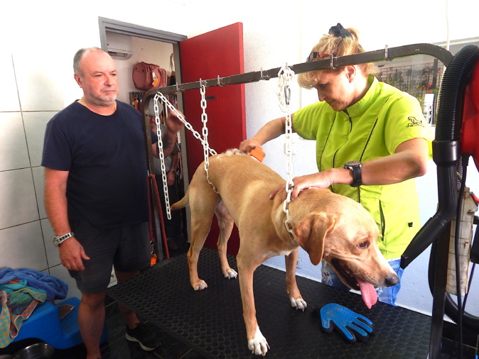 Porto-Vecchio : Après la plage, le salon de toilettage