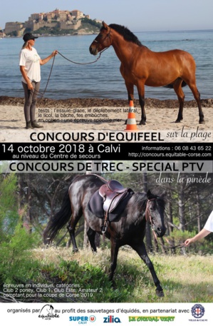 Concours d'Equifeel et de Trec dans la pinède de Calvi Concours d'Equifeel et de Trec dans la pinède de Calvi