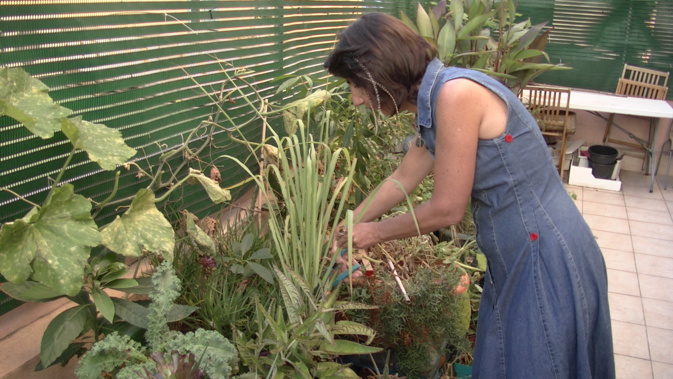 Bastia : Jardiner et composter en appartement, c’est possible…