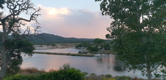 La photo du jour : Quand les salines de Porti Vechju se parent de rose....