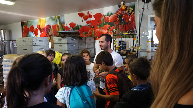 Agri'Gusti : L'école de Cardu à la miellerie de Lavasina Agri'Gusti : L'école de Cardu à la miellerie de Lavasina