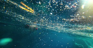 Mer Méditerranée. Photo Jean-Baptiste Andreani - Mission CorSeaCare. Mer Méditerranée. Photo Jean-Baptiste Andreani - Mission CorSeaCare.